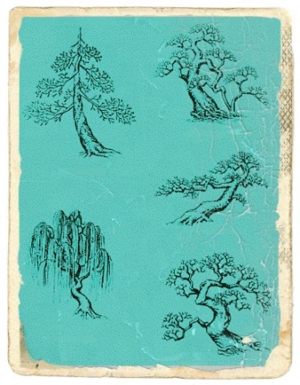 Bonsaii arbori in miniatura grupe si stiluri